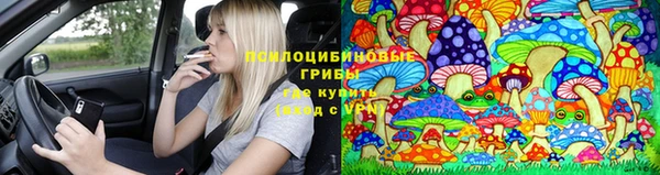каннабис Дмитровск