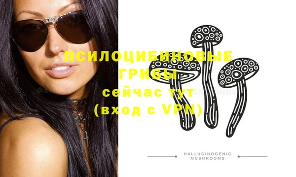 эйфоретик Елизово