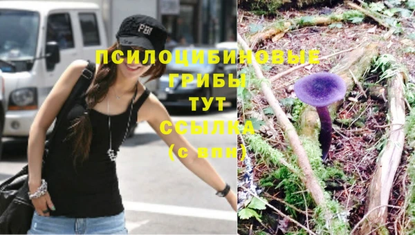 каннабис Ельня