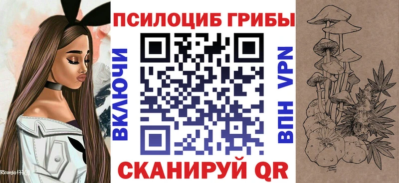 Купить Жирновск Псилоцибиновые грибы GOLDEN TEACHER